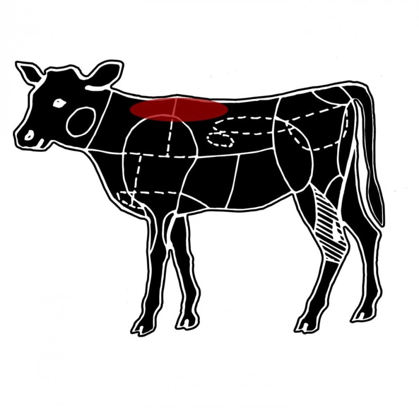 Telecí vysoká roštěná