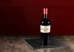 Gran malbec | Víno k hovězímu steaku